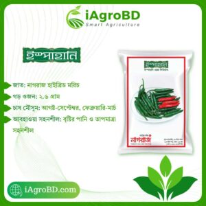 নাগরাজ (Nagraj) hybrid Seeds - iAgroBD
